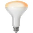 thumbnail image 1 of Feit Electric 9989492 BR30 2700K Alexa Google Bulb, 1 of 1