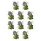 thumbnail image 3 of Yuarrent Hoja seca natural en relieve hojas prensadas decoración postal del hogar para tarjetas de boda de resina hoja verde 8 Type1 NO1, 3 of 6