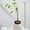 24", variant on 6 Pcs Flower and Plant Support Stakes, Reusable Plant Stakes for Indoor, Plastic Plant Cage Holder Ring, Indoor Outdoor Plant Flowers, Amaryllis, Tomatoes, Vegetable,12"