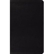 The Holy Bible