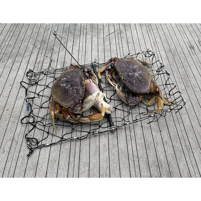 AirFly Foldable Castable Crabjaw Trap with Bait Clip - Rectangle Design  Crab Trap Hawk