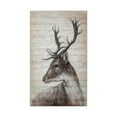 thumbnail image 2 of Mercana White Tail I 36X60 Deer Original Hand Painted On Wood Oil Painting, 2 of 3