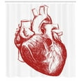 thumbnail image 3 of Ambesonne Human Heart Shower Curtain, Sketch of Cardio Organ, 69"Wx70"L, Vermilion and White, 3 of 3