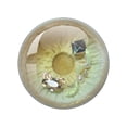 thumbnail image 3 of Ojos de cristal para muñecas, redondos, de 10 a 40 mm, con forma de cúpula, de dragón, para gato, accesorio de juguete para pupila, para muñecas Blyth, 3 of 5