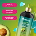 thumbnail image 4 of Mielle Avocado and Tamanu Anti-Frizz Shampoo 12 fl oz, 4 of 10