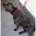 thumbnail image 3 of The Bestia "Crown" 2.8 inch wide leather dog collar, 3 of 4