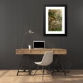 thumbnail image 4 of Alfred Edmund Brehm 17x24 Black Modern Framed Museum Art Print Titled - The Insects, Thousands and Spiders Pl 20 (1877), 4 of 5