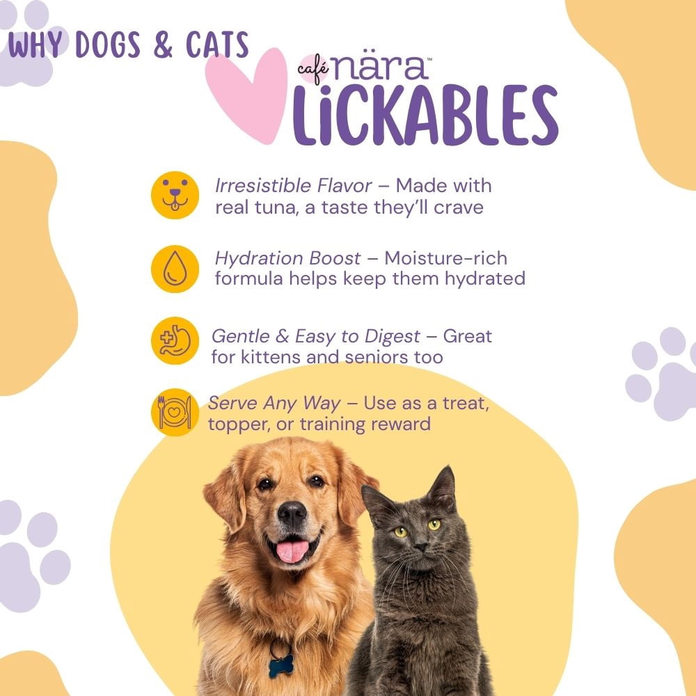 Café Nara Tuna Flavored Lickable Treats for Cats - Pack of 12