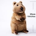 thumbnail image 3 of Cute Quokka Stuffed Animal Plush Toy, Australia Animal Plushie, Cuddly Quokka Doll-10 inches, 3 of 9