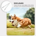 thumbnail image 4 of unbranded Correa Para Pasear Perros Metálica Plateada Y Resistente Ideal Para Caminatas Y Jogging, 4 of 8