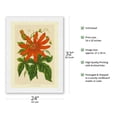 thumbnail image 2 of The Passion Flower (Tacsonia buchanani) - Passiflora Vitifolia - Vintage Botanical Illustration c.1930’s - Japanese Unryu Rice Paper Art Print 24 x 32 in, 2 of 4