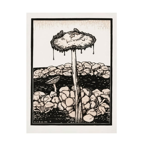 Trademark Fine Art Pictufy Dripping Mushroom 1916 Canvas Wall Art
