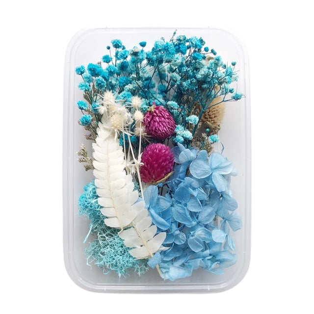 Lote de 10 o más Flores Secas Azules ANGGREK Velas Perfumadas de Flores Eternas