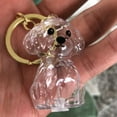 thumbnail image 2 of HANDIED Pendentif Ménager Collecteur de Poils de Chien Porte-Clés Breloque Boîte de Rangement Commémorative Souvenir de Poils d'Animaux Porte-Clés Transparent Mignon, 2 of 6