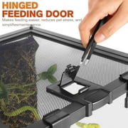 NEPTONION Mini Reptile Glass Terrarium 12'' x 8'' x 6'' For Small Reptile with Feeding Slot & Lock