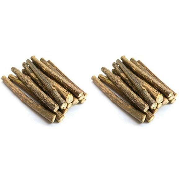 40 Piezas de Varillas de Silvervine Naturales para Palos de Hierba Gatera, Palos Masticables de Matatabi, Juguetes para Masticar Molares para Limpieza de Dientes de