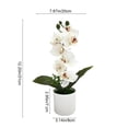 thumbnail image 3 of JHyouerji Plastic Artificial Phalaenopsis Potted Bloom with 7 Flower Heads White 12×8 Inch for Bedroom Dining Table Wedding Banquet Indoor Home Decor, 3 of 8