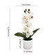 thumbnail image 3 of Juego de orquídeas Phalaenopsis artificiales en maceta con 7 flores, decoración floral realista para hogar, bodas, oficina, 31x20 cm, múltiples colores, 3 of 7