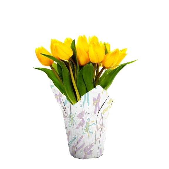 Gifts in Bloom 6IN Yellow Tulip Live Plant in Decorative Pot, Indirect Sunlight