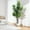 7FT, variant on QinaQin 5FT Realistic Artificial Fiddle Leaf Fig Tree – Tall Faux Ficus Lyrata with Pot – Modern Minimalist Greenery for Home, Office, Bedroom, Bathroom, or Tabletop – Indoor/Outdoor Decor