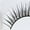 THIN, variant on SHANY Eyelash extend - set of 10 assorted reusable eyelashes - Thin Collection