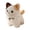 White, variant on Kawaii Kitten Stuffed Animals, Adorable Cat Plush Toy with Lace Ruffle Collar Plushies, Fluffy Standing Kitty Doll, Home Decor & Birthday Gift for Kids Black