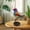 Multicolour #598, variant on Colorful Bird Decorations, Home Decoration Decorations, Flower Bird Pendants, Bird Group Decorations
