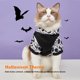 thumbnail image 3 of Ropa de invierno para perros sudadera de Halloween para perros patrón de calavera cálido teñido anudado a la moda suave para mascotas pequeñas y medianas para el invierno ANGGREK Otros, 3 of 8