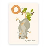 Opossum | ABC Card