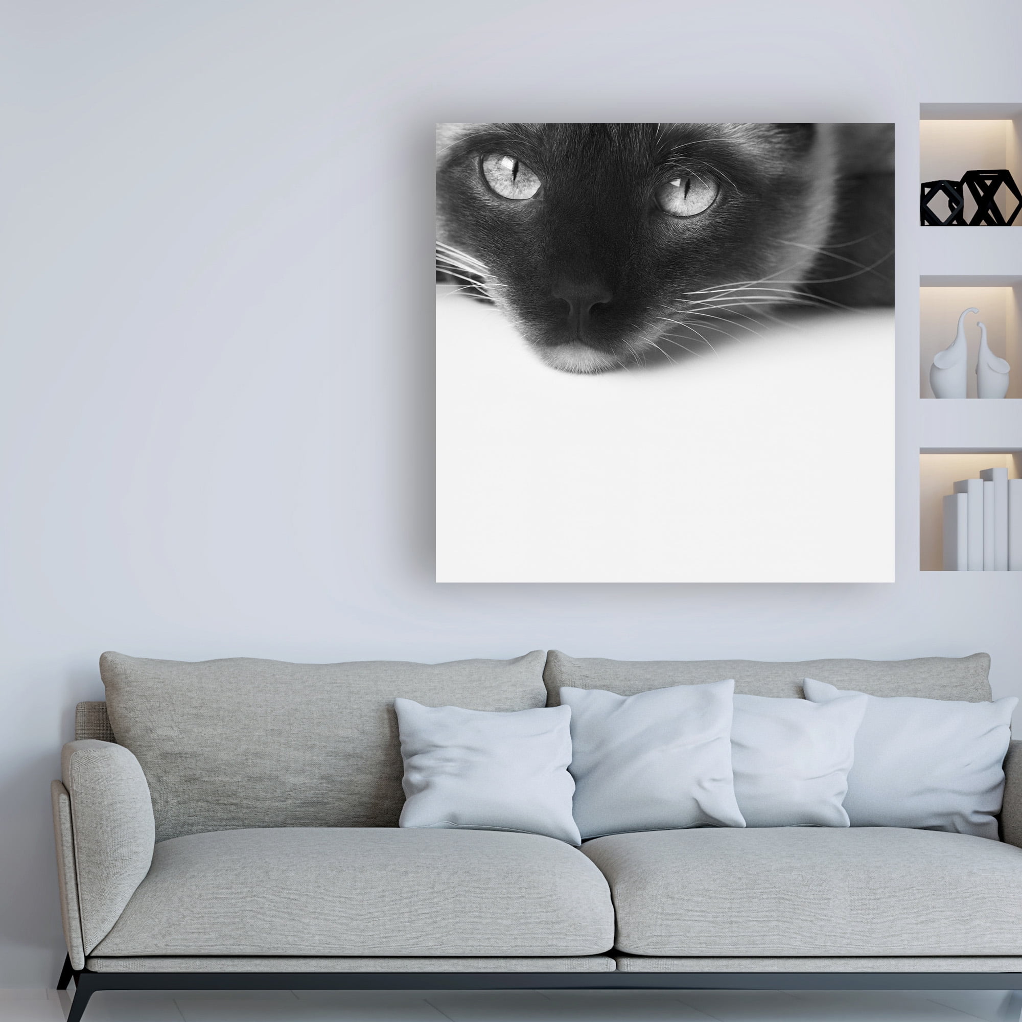 Trademark Fine Art 'No Stress Siamese' Canvas Art by Jon Bertell