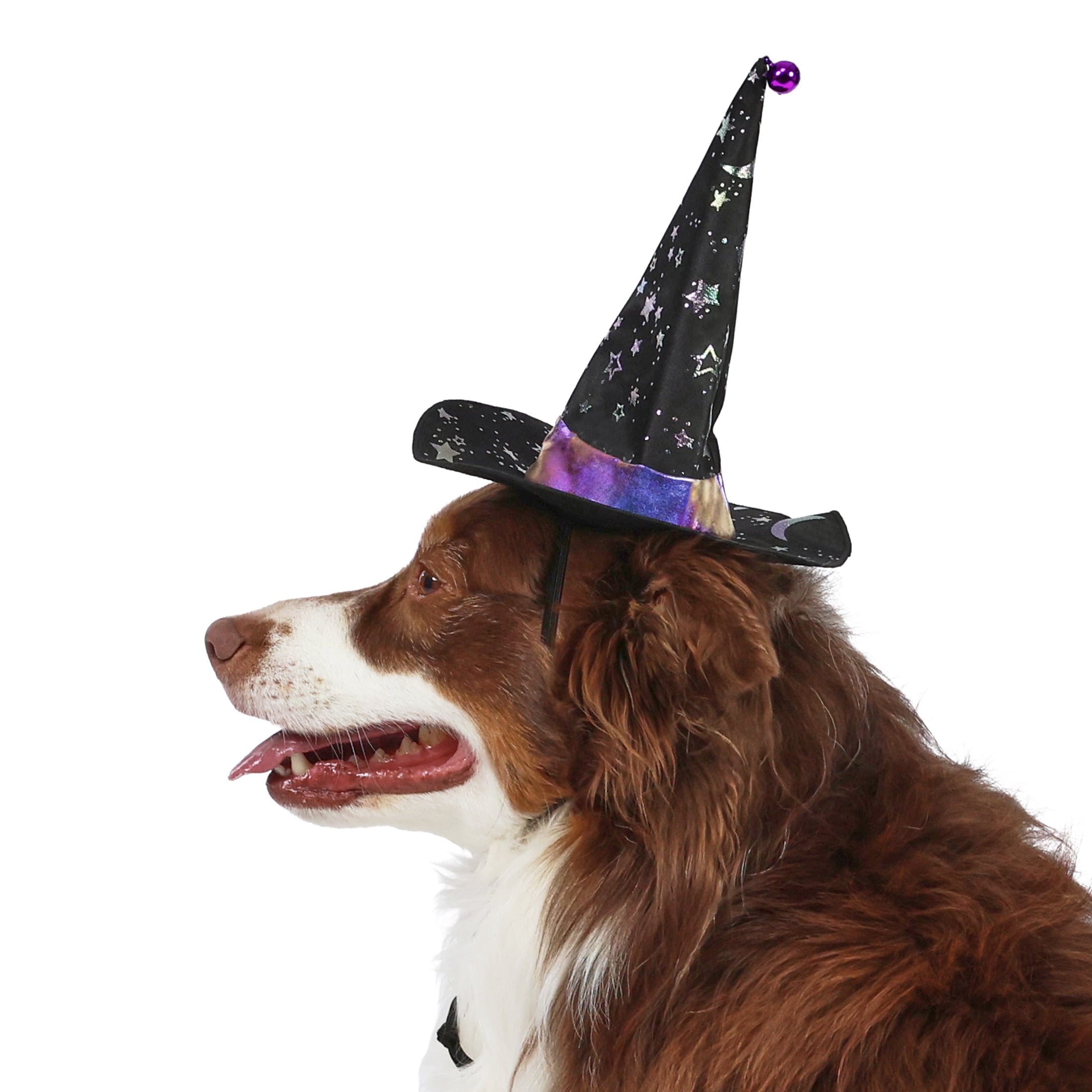 Vibrant Life Halloween Witch's Hat Costume for Dogs, Black, M/L