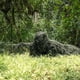 thumbnail image 2 of Camo Ghillie Suit Paintball 5pcs/Set S para Jóvenes Adultos Unisex, 2 of 9