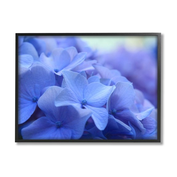 Detailed Hydrangea Close Up Petals Botanical & Floral Photograph Black Framed Art Print Wall Art