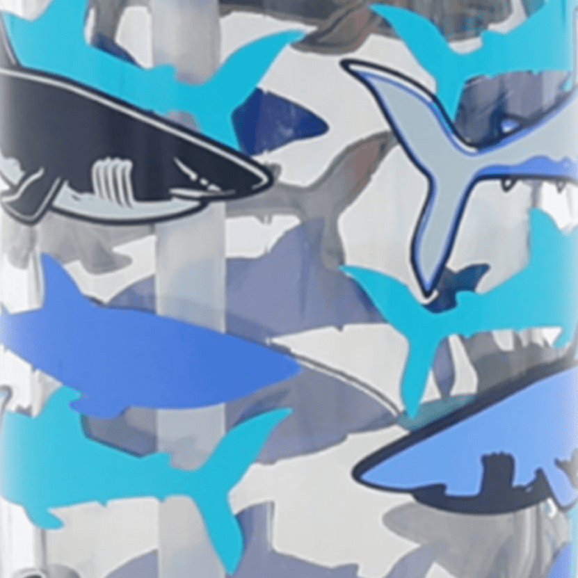 Blue Shark