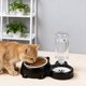 thumbnail image 4 of Cuenco elevado de dos en uno para gatos y perros, con dispensador de agua y comedero inclinado, 4 of 5