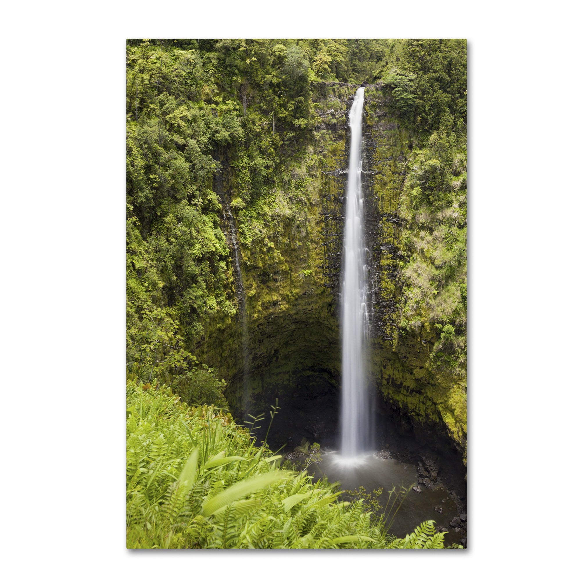 Chris Moyer 'Akaka Falls' Canvas Art