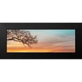 thumbnail image 2 of Frank, Assaf 18x9 Black Modern Framed Museum Art Print Titled - Branches at sunset, 2 of 5