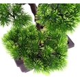 thumbnail image 4 of Planta decorativa en maceta de pino Bonsai-Beauty Ormromra  HFP-0285, 4 of 8