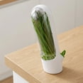 thumbnail image 2 of DEKEones 3 Herb Preservation Boxes - Airtight Storage for Preserving Fresh Herbs, 2 of 7