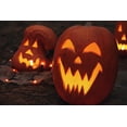thumbnail image 6 of TomorrowSeeds - Jack O' Lantern Pumpkin Seeds - 60+ Count - For 2025 Planting Patch Pumpkins Field, 6 of 11