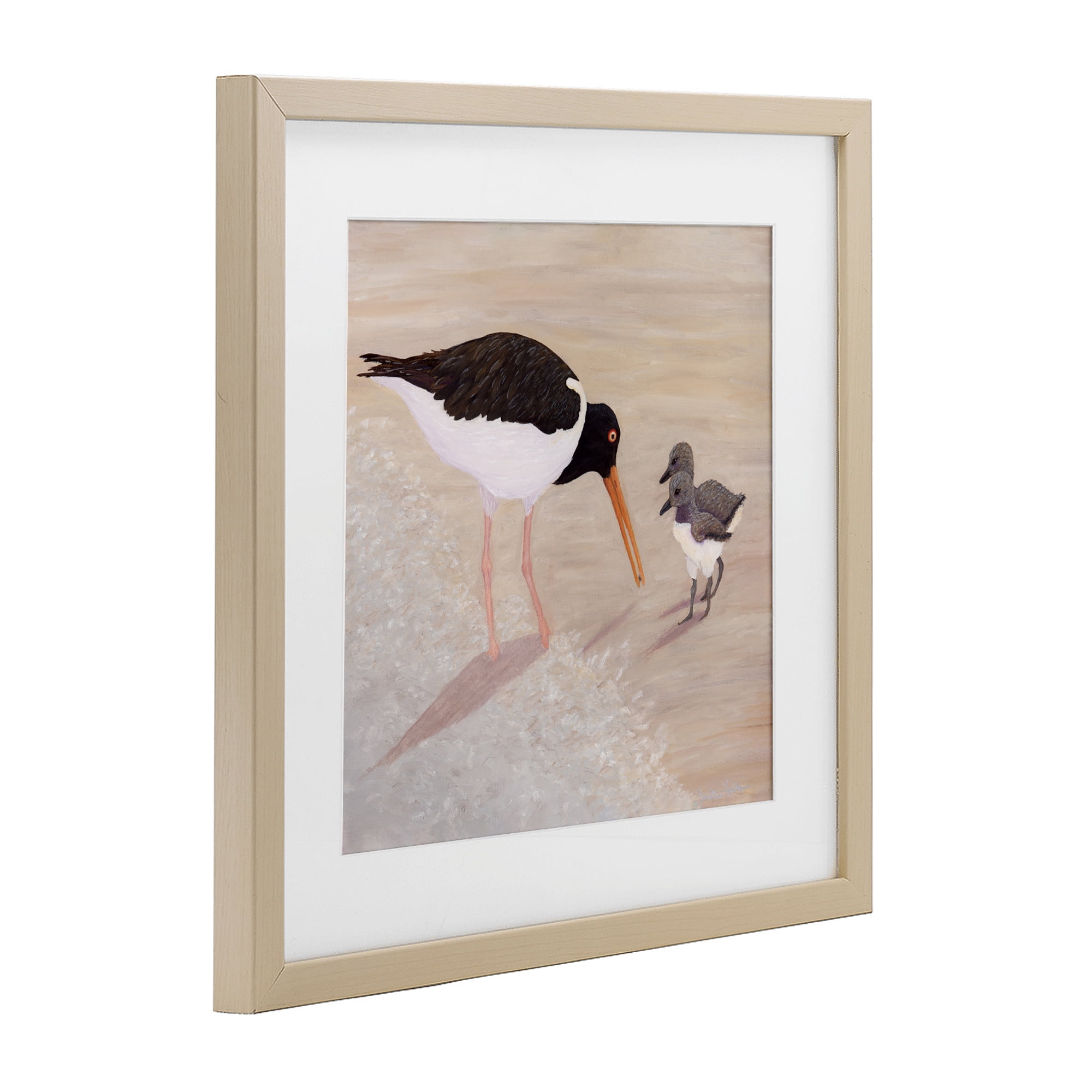 Stupell Industries American Oyster Catcher & Chicks Birch Framed Print Under Glass, design by Barbara Fallenbaum