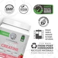 thumbnail image 3 of Sunwarrior Vegan Creatine Monohydrate Powder, Preworkout Recover Supplement, Raspberry, 12.34 oz, 3 of 8