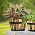 thumbnail image 2 of Avera Products (#AWP304160) Round Wood Barrel Planter, 16â D x 9.5â H, 2 of 6