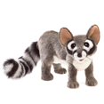 thumbnail image 1 of Folkmanis Puppets - 3122 | Ringtail Cat Puppet, 1 of 5
