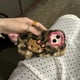 thumbnail image 1 of Funda de teléfono de personaje femenino Sanrioed Hello Kittyed, Iphone 15, aplicable a Iphone 14Promax, funda protectora, juguetes de regalo para niñas, nuevo, 1 of 5
