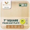 TRAHOOPalm leaf Plates 7 inch Square, 25 Pack Like Bamboo Plates