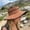 Red, variant on Outdoor Wide Brim Sun Hat for Women Men, Breathable Fisherman Hat with UV Sun Protection for Travel Hiking Beach Fishing
