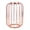 Rose Gold, variant on NFTIGB Nordic Lantern Shaped Wrought Iron Vase Glass Tabletop Flower Pot, Champagne Gold, 8.27x4.33 inches / 21x11 cm