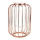 thumbnail image 1 of Jarrón de hierro forjado con forma de farol nórdico, jarrón de hierro y vidrio para mesa (oro rosa), 1 of 10