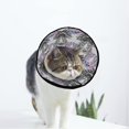 thumbnail image 1 of Collier de Récupération pour Chat et Chien, Cône Ajustable, Protection après Chirurgie pour Chat et Chiot, 1 of 7